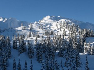 Mt Baker 19.jpg