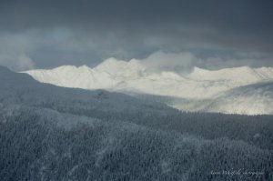 NEH2018-5561.jpg