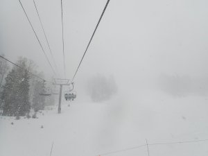 Taos 020919 090 DC ACR Conv.jpg