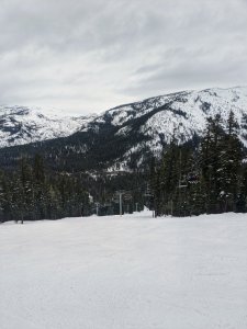 Diamond Peak-Textrovert