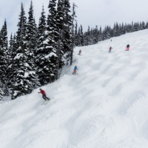 The crew coming down the monguls at Crystal Ridge